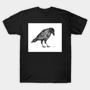 Inquisitive Crow T-Shirt